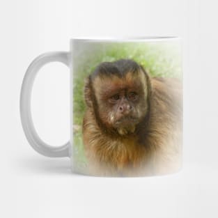 Tufted capuchin Mug